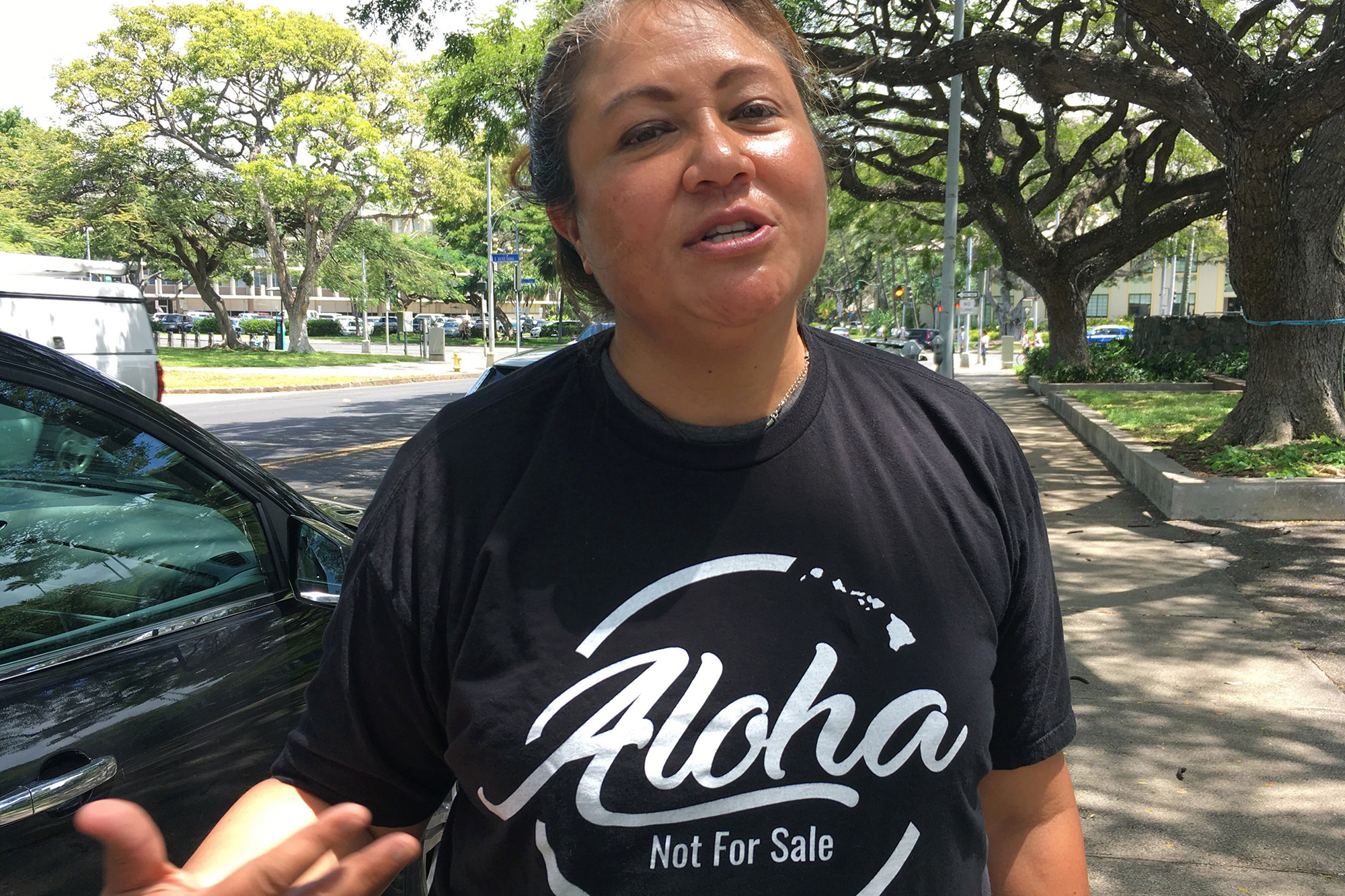 Who Owns Aloha Hawaii Wants Legal Protections For Native Culture