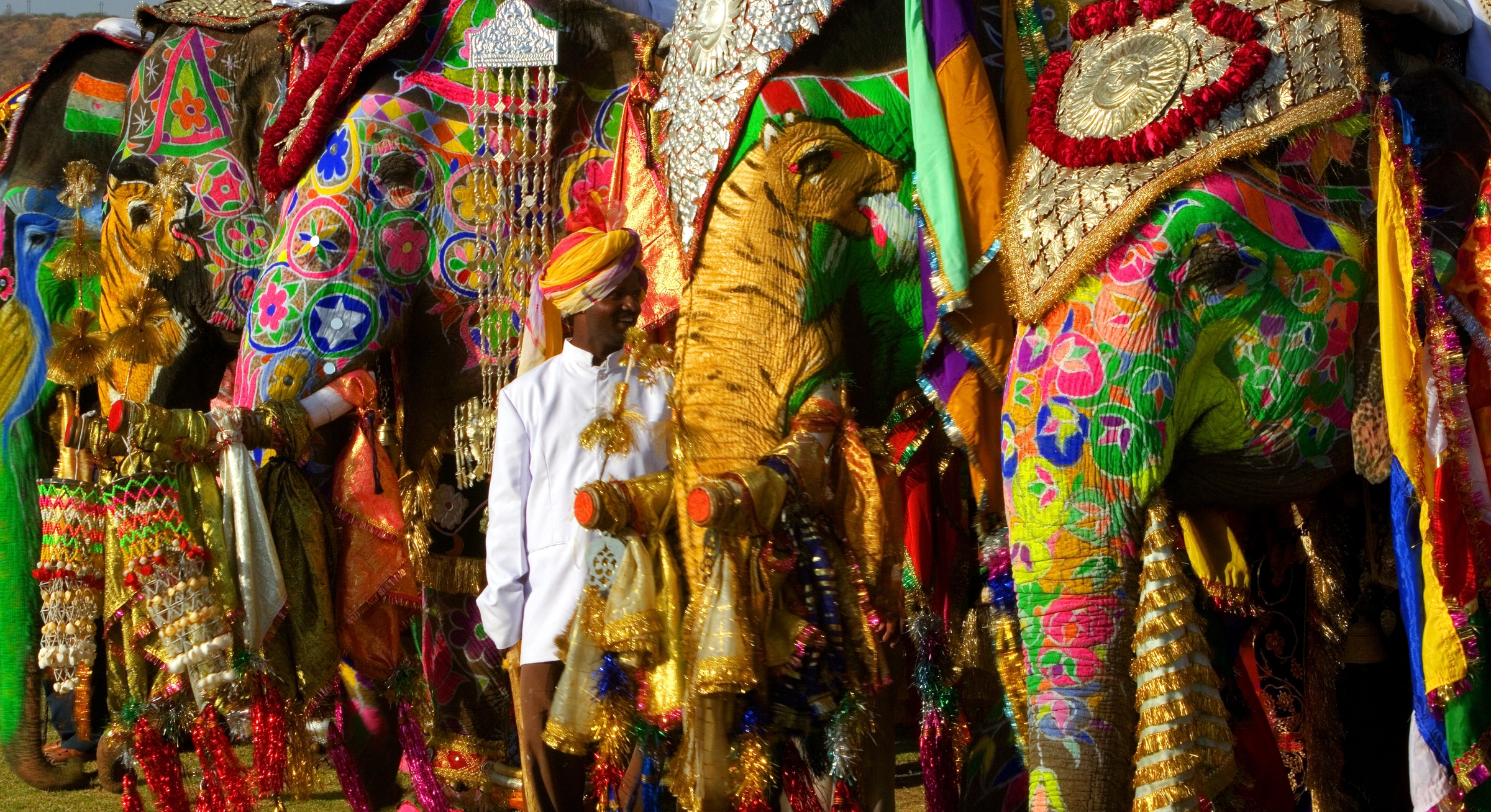 Why Elephants Are Decorated in India: Cultural Significance Explained