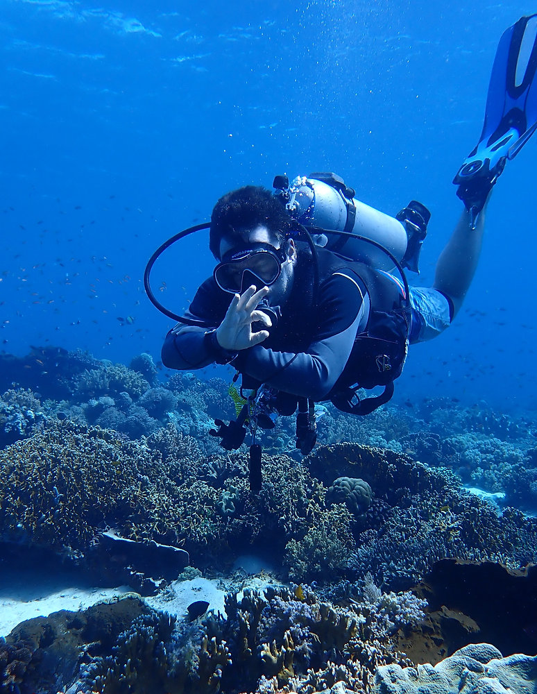 Why Diving The Top 7 Reasons For Becoming A Scuba Diver Big Island