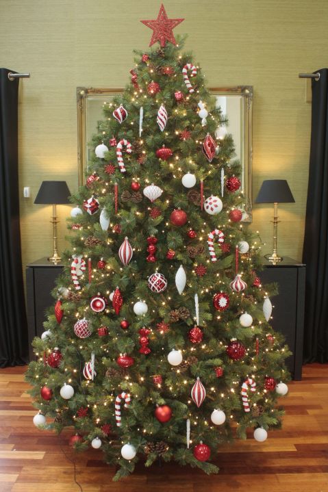 Evergreen Trees: Why We Decorate and Celebrate