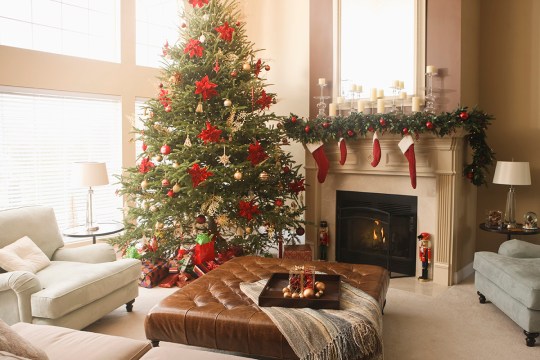 Christmas Tree Tradition: Origins and Decorations Explained