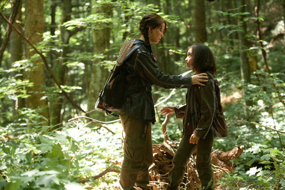 Katniss and Rue: The Poignant Tribute of Wildflowers